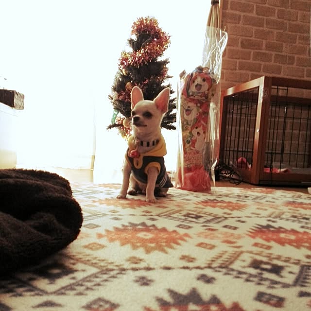emamaさんの実例写真