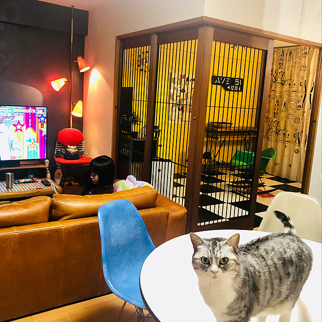 Shojiさんの実例写真