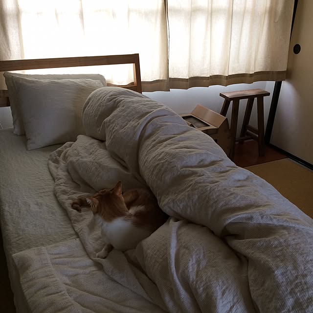 yoko.329さんの実例写真