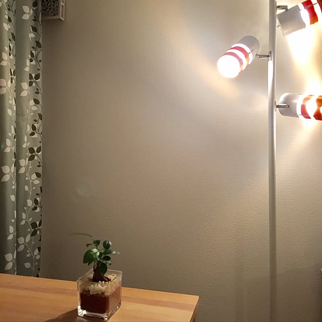 papillonさんの実例写真