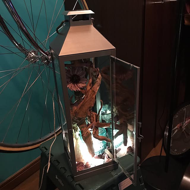 gureggggruさんの実例写真