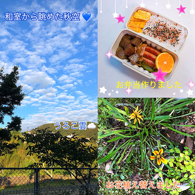 koyuriさんの実例写真