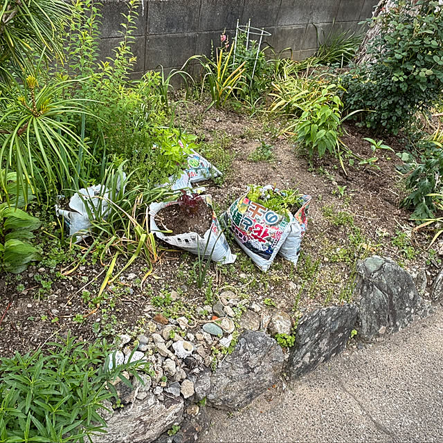 SIELUさんの部屋