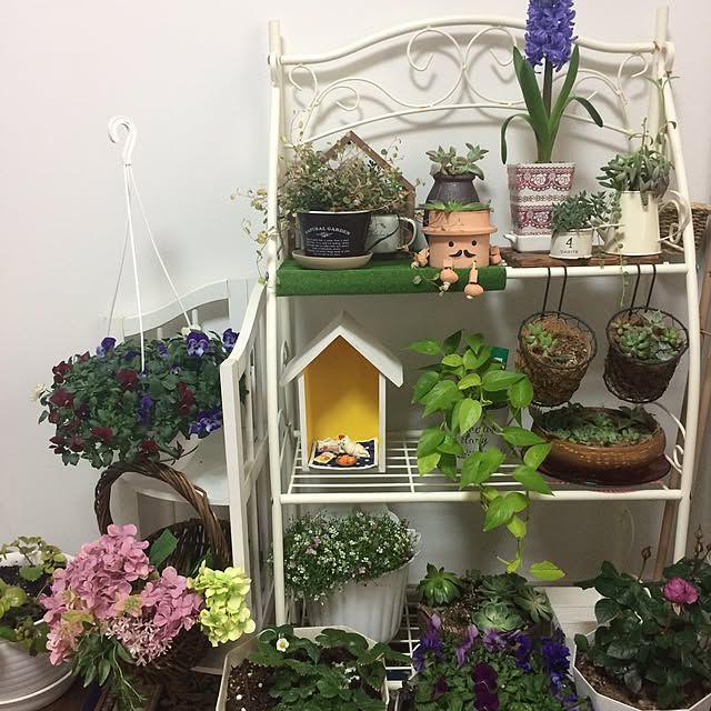 kimuraruさんの実例写真