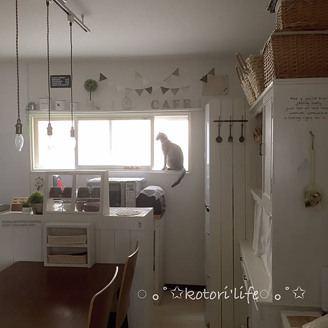 kotoriさんの実例写真