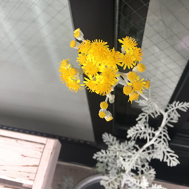 kanaさんの実例写真