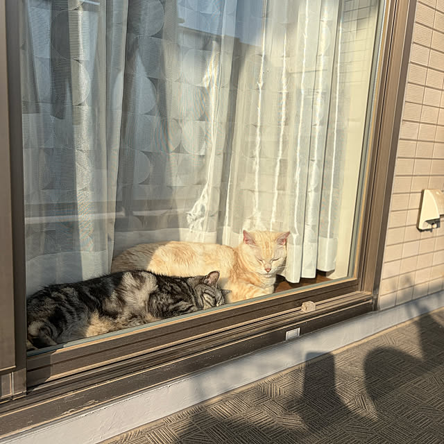 hiyupan88さんの部屋