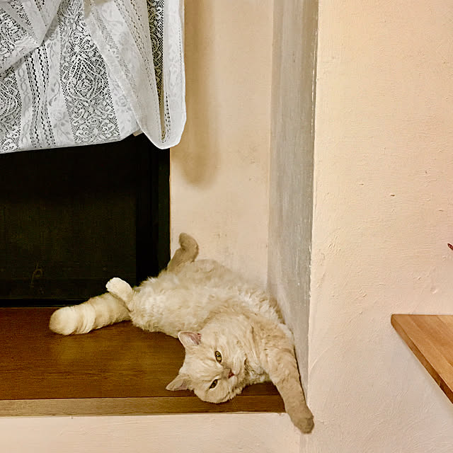 naokoさんの部屋
