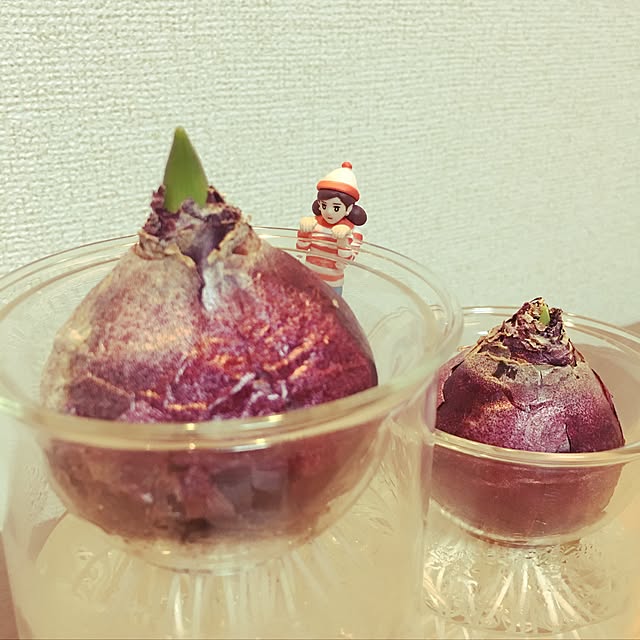 gumiminさんの実例写真