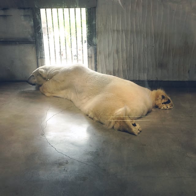 marikaさんの実例写真