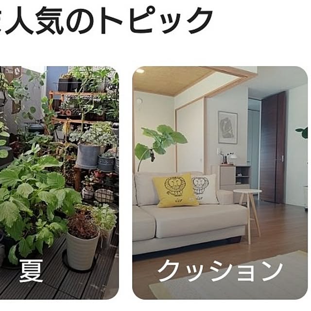 tan5さんの実例写真