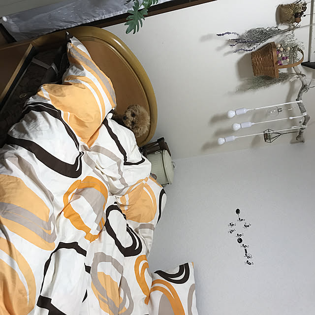 emilyさんの実例写真