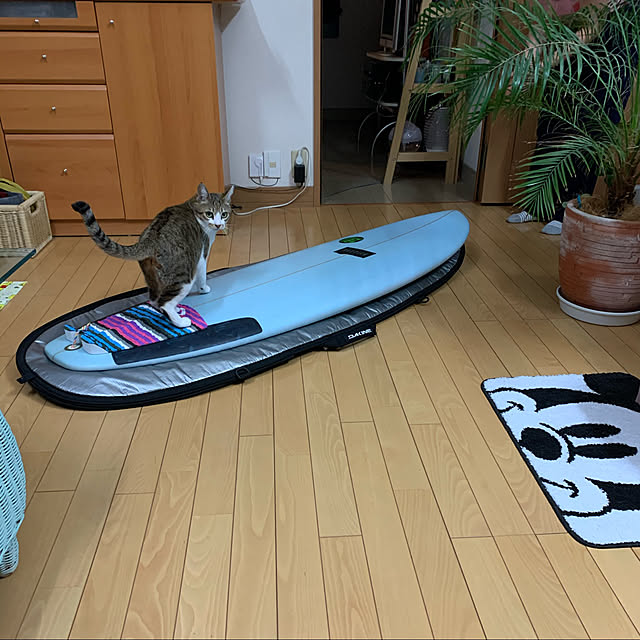 sinya96さんの実例写真