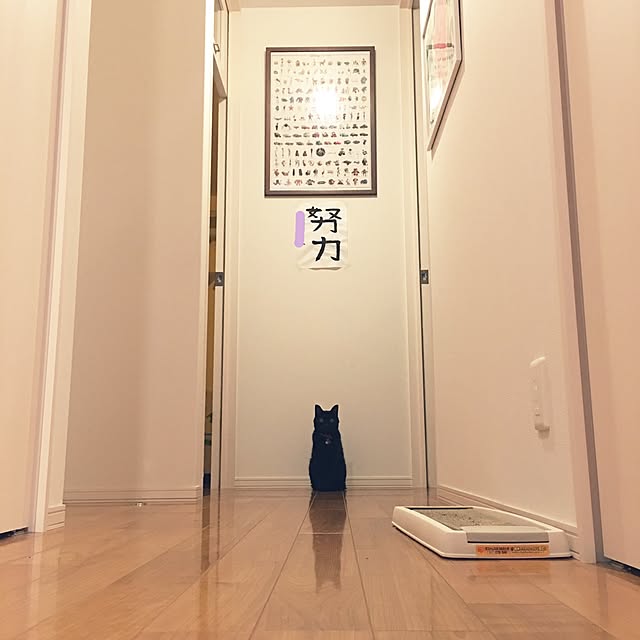 ALPSさんの実例写真