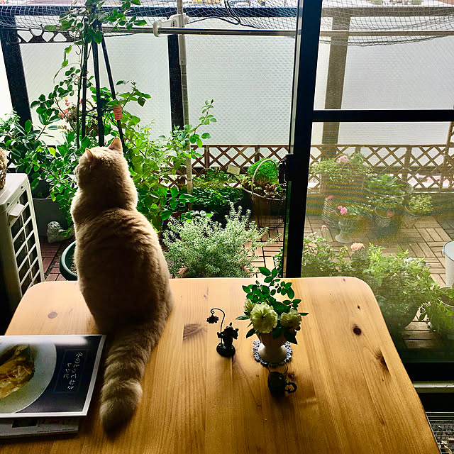 naokoさんの実例写真