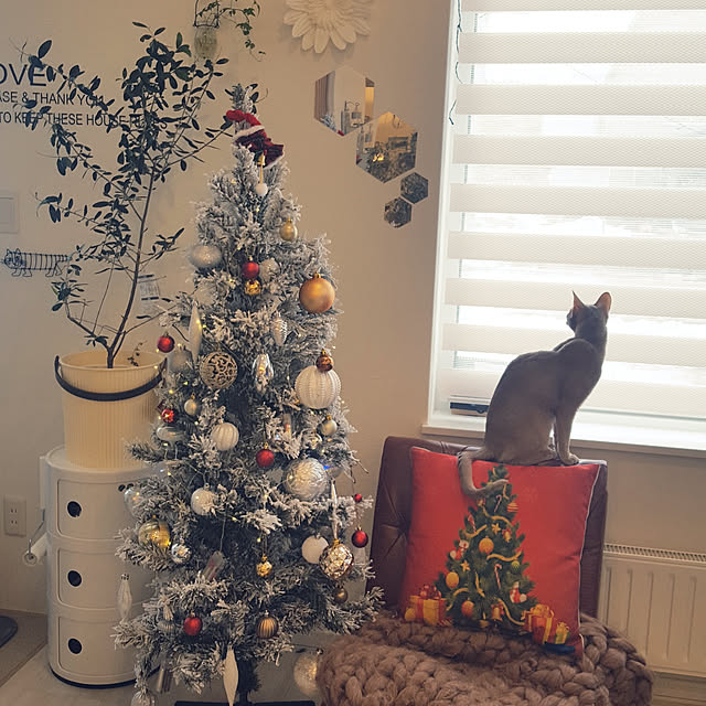 megu.catさんの実例写真