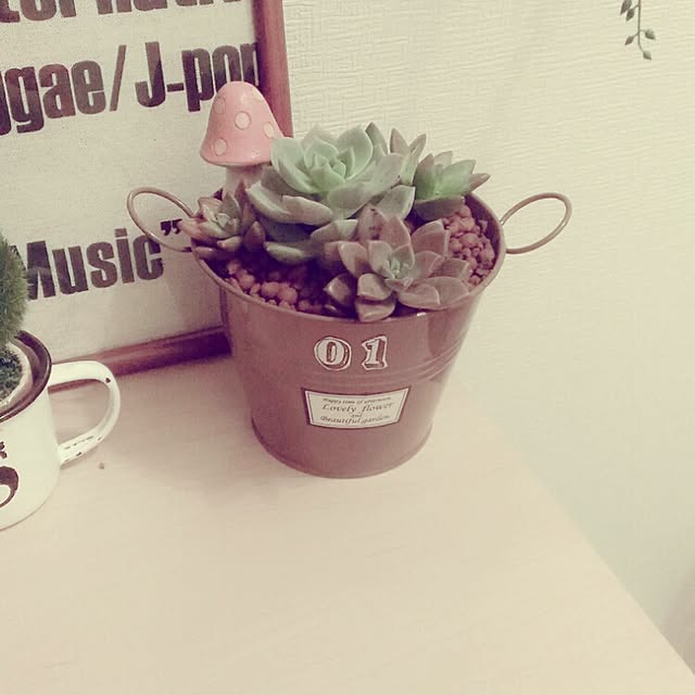 実例写真