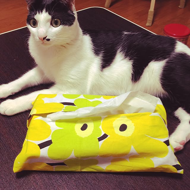 gabuさんの実例写真