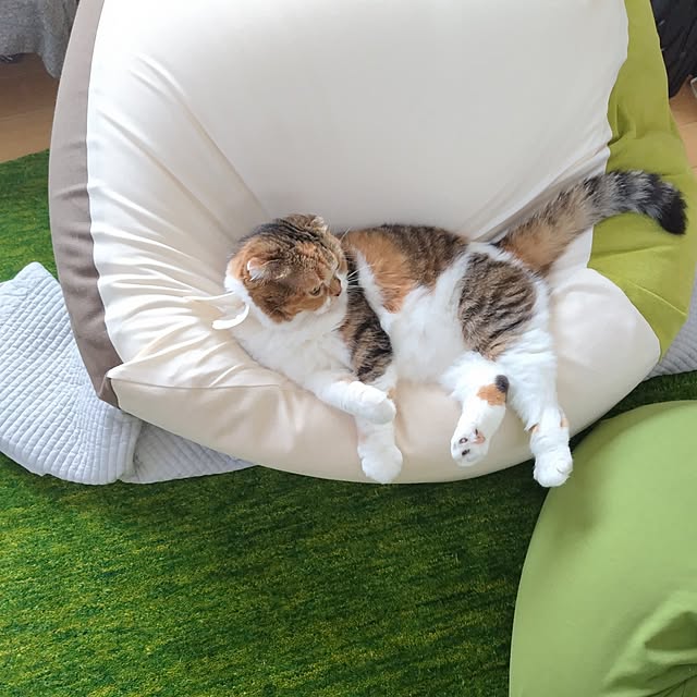 hiro3さんの部屋