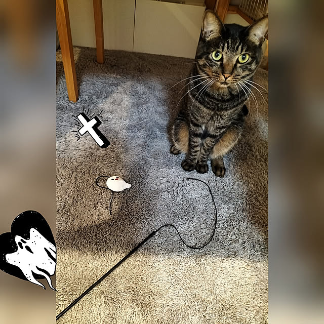 hihaさんの実例写真