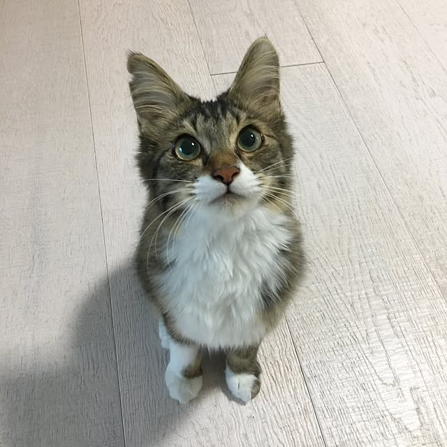 yuchiさんの実例写真
