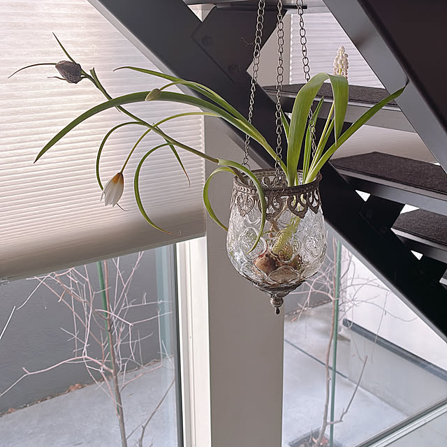 haruさんの実例写真