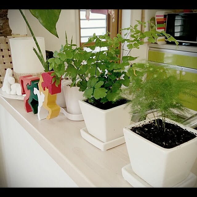 urchinさんの実例写真