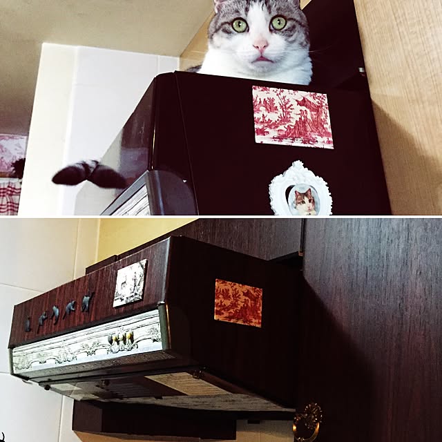 emmyyさんの実例写真