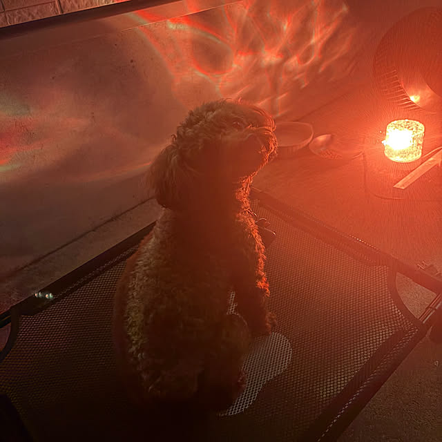 MOMOMAMAさんの部屋