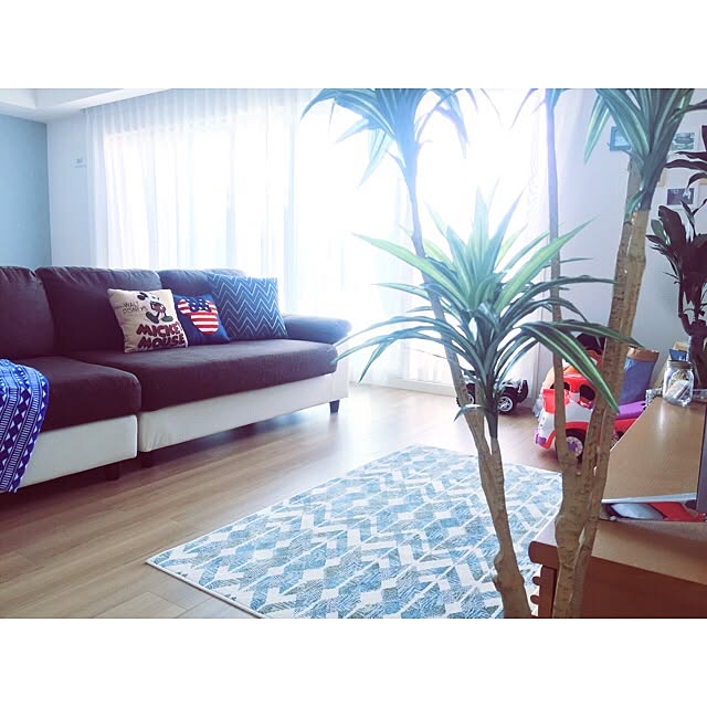 riiiさんの実例写真