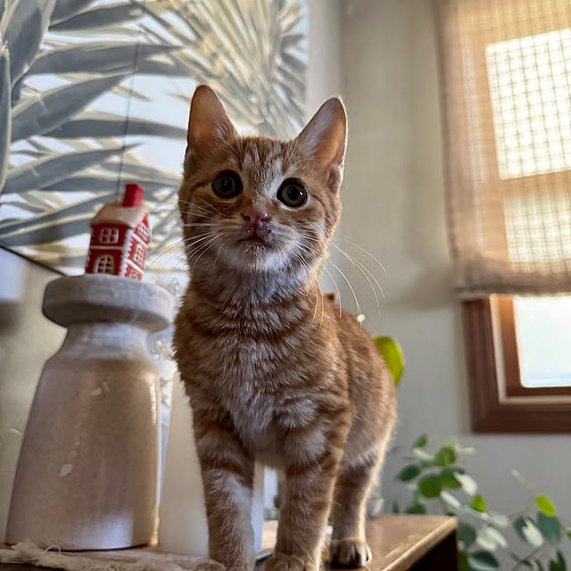 67さんの部屋