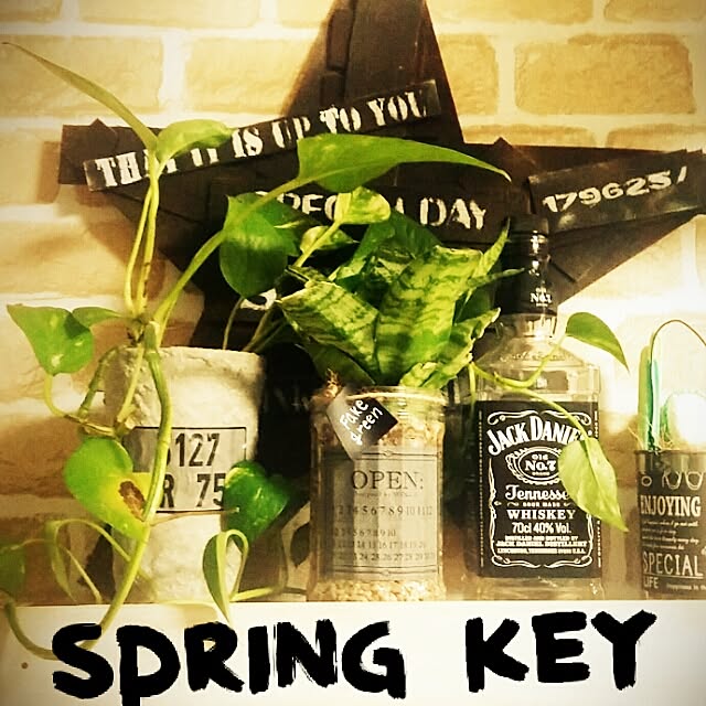 springkeyさんの実例写真