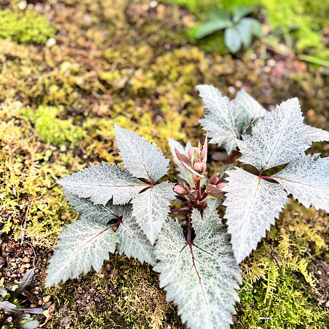 kyoko1124koさんの部屋
