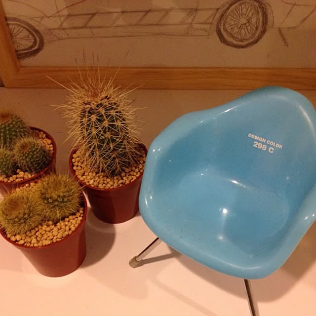 tahcheeさんの実例写真