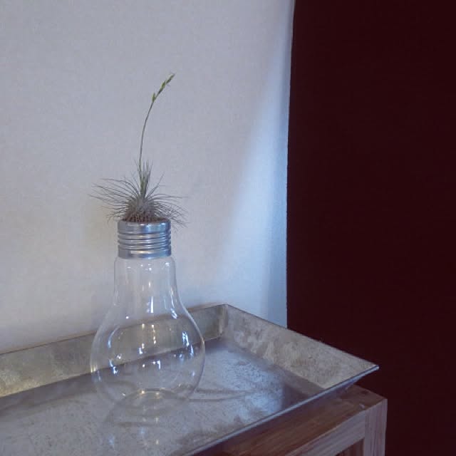 anelaさんの実例写真