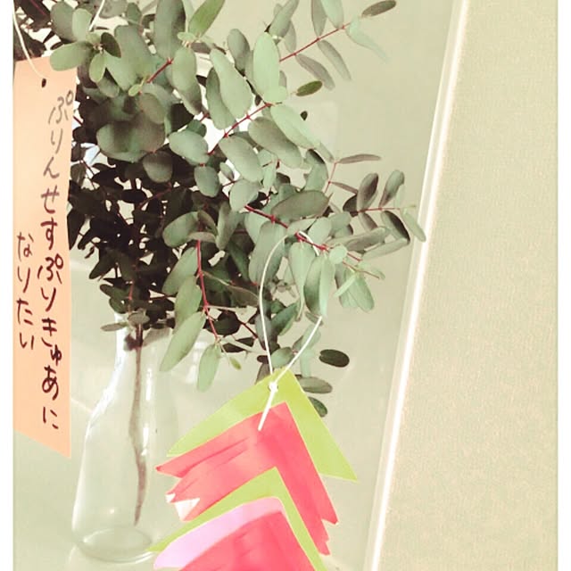 haneさんの実例写真