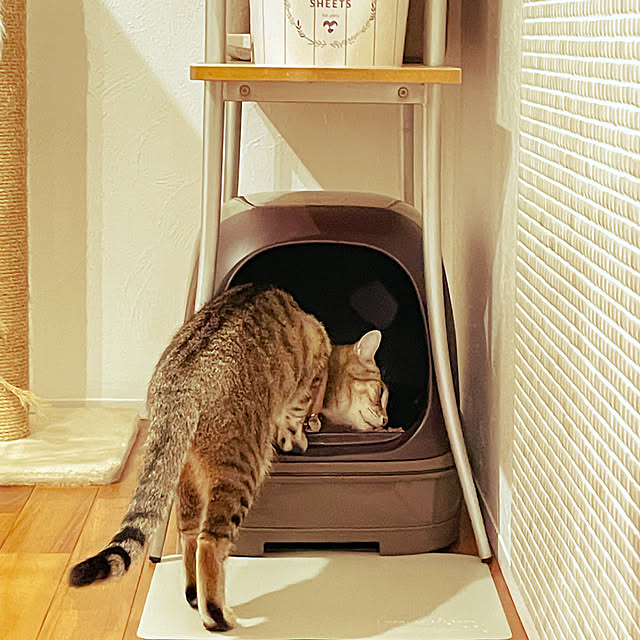 sayapiさんの部屋
