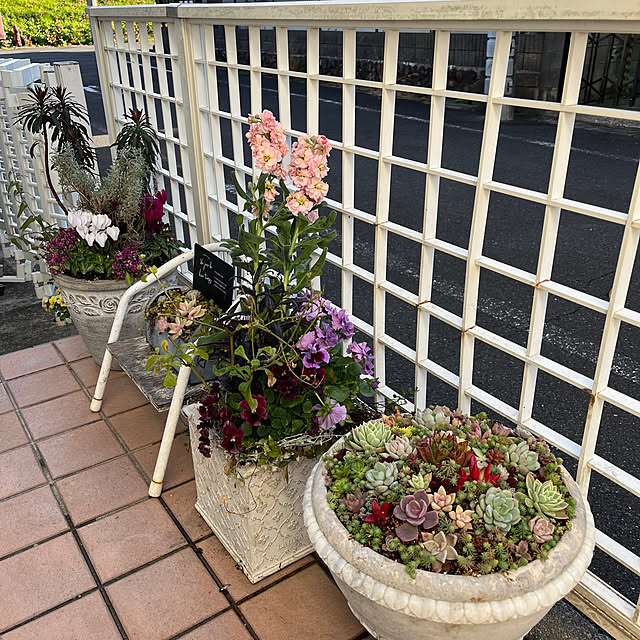dainaoreiさんの部屋