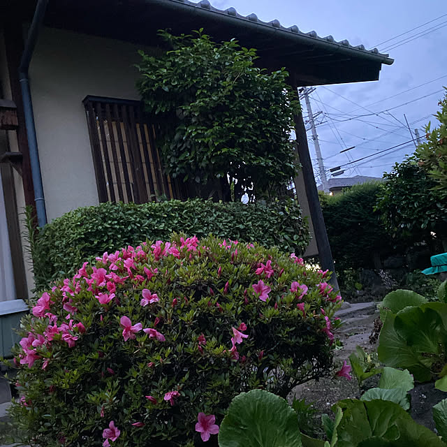 katamuturiさんの実例写真
