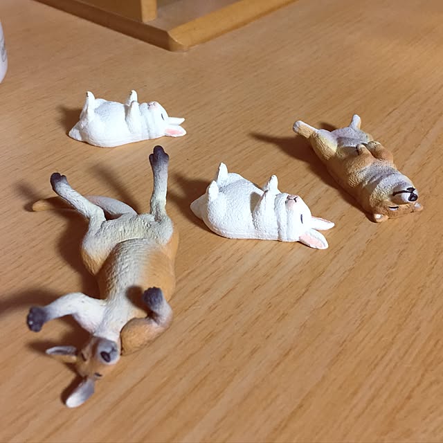yocchiさんの実例写真