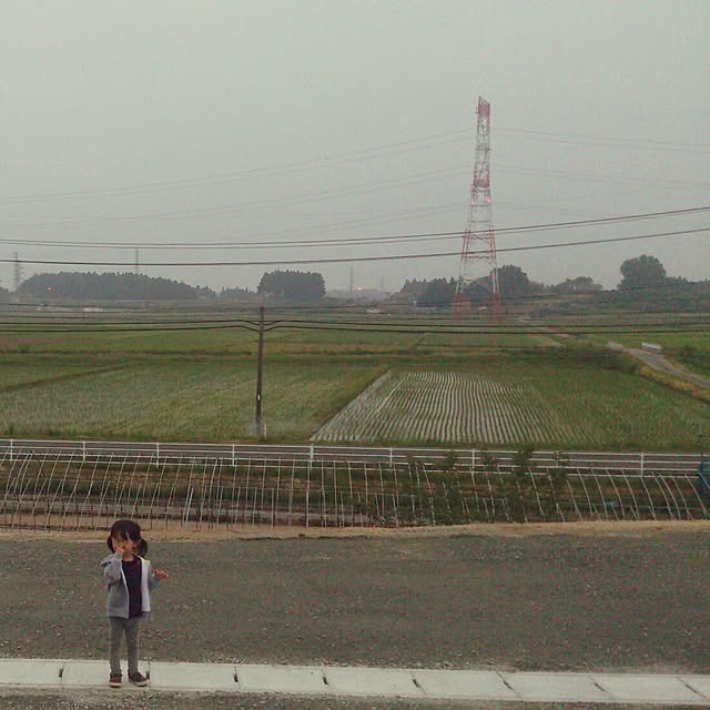 tomoさんの実例写真