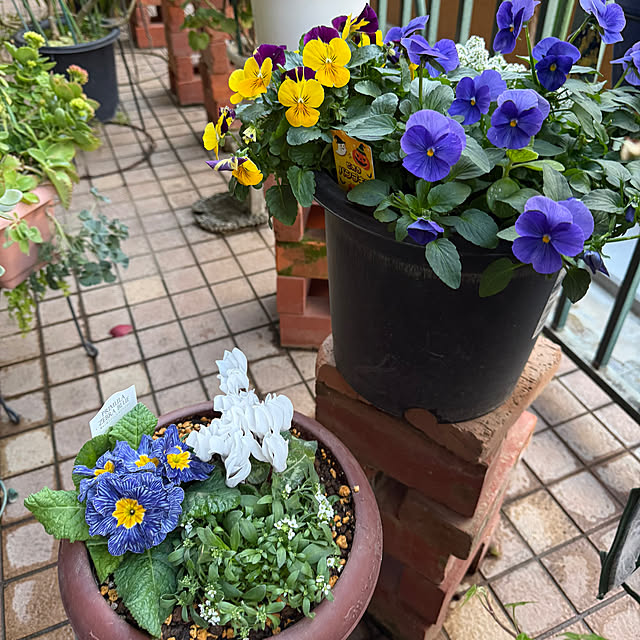 Aqettyさんの部屋