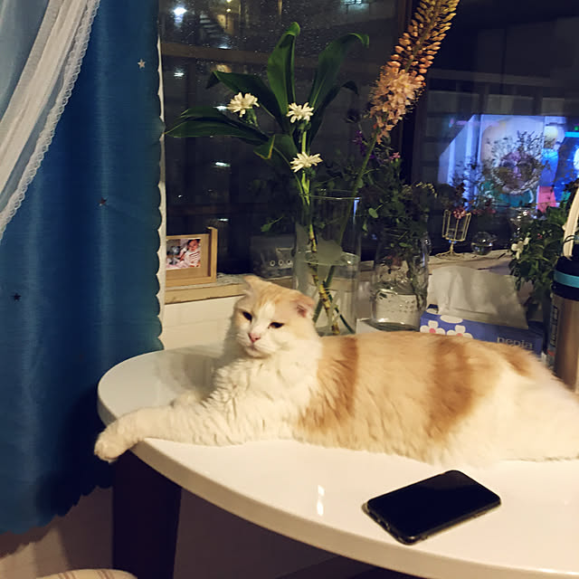 mofuchiさんの実例写真
