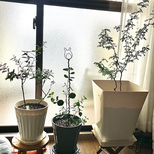 kagomamaさんの部屋