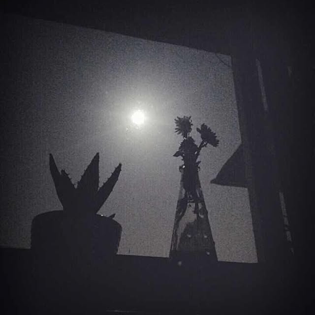 Piggieさんの実例写真