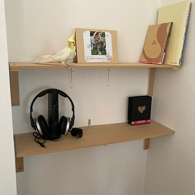 toratanさんの部屋