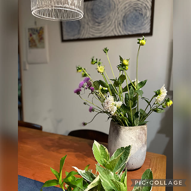 buchiさんの部屋