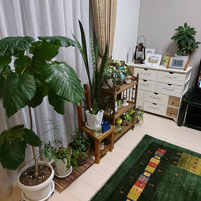 0707gonchanmamaさんの実例写真