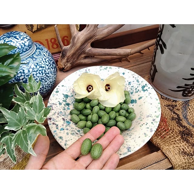 bonitoさんの部屋