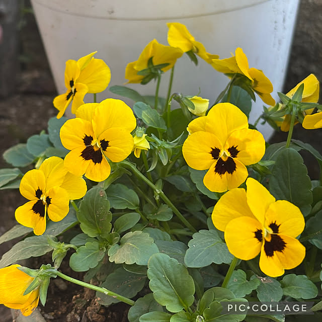 Smilkazuさんの部屋